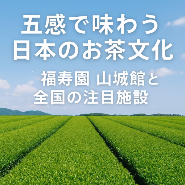 「五感で味わう日本のお茶文化｜福寿園 山城館と全国の注目施設」緑豊かな茶畑の風景が広がる、日本の茶文化を紹介する記事のアイキャッチ画像