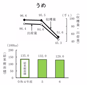 「うめ」の令和4年~6年の収穫量・出荷量と結果樹面積(耕作面積)の推移を示したグラフ