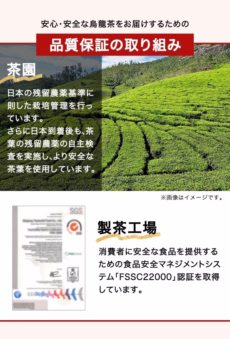 品質保証の茶園・製茶工場での取り組みを説明した図解